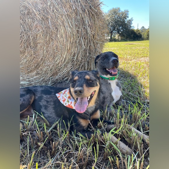 Hi!!✨ - Picture 3 of 3